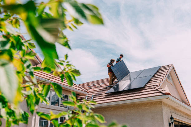 Best Metal Roofing Contractor  in Louisburg, KS