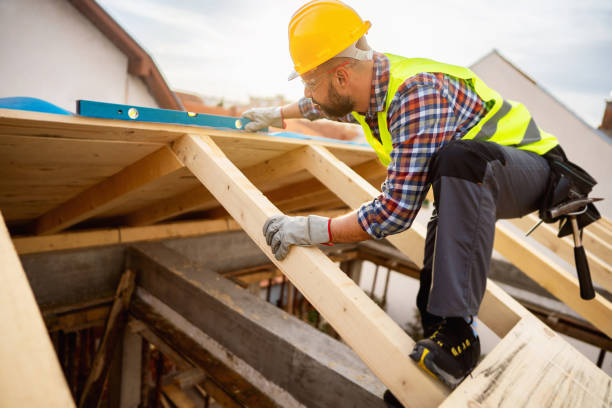 Professional Roofing Contractor in Louisburg, KS