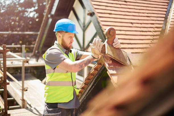 Best Storm Damage Roof Repair  in Louisburg, KS