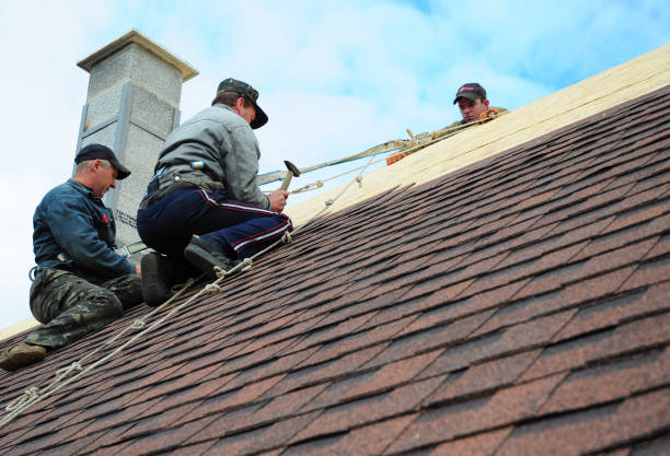 Best Commercial Roofing Services  in Louisburg, KS