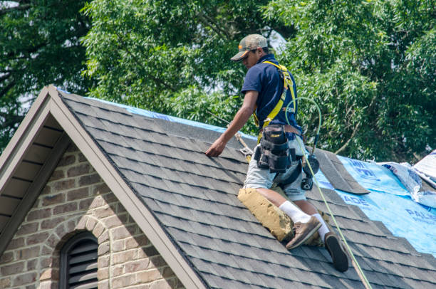Best Best Roofing Contractors  in Louisburg, KS